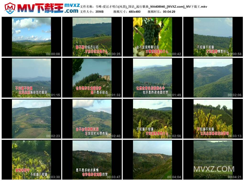 韦唯-爱过才明白(风景)_国语_流行歌曲_MA408940